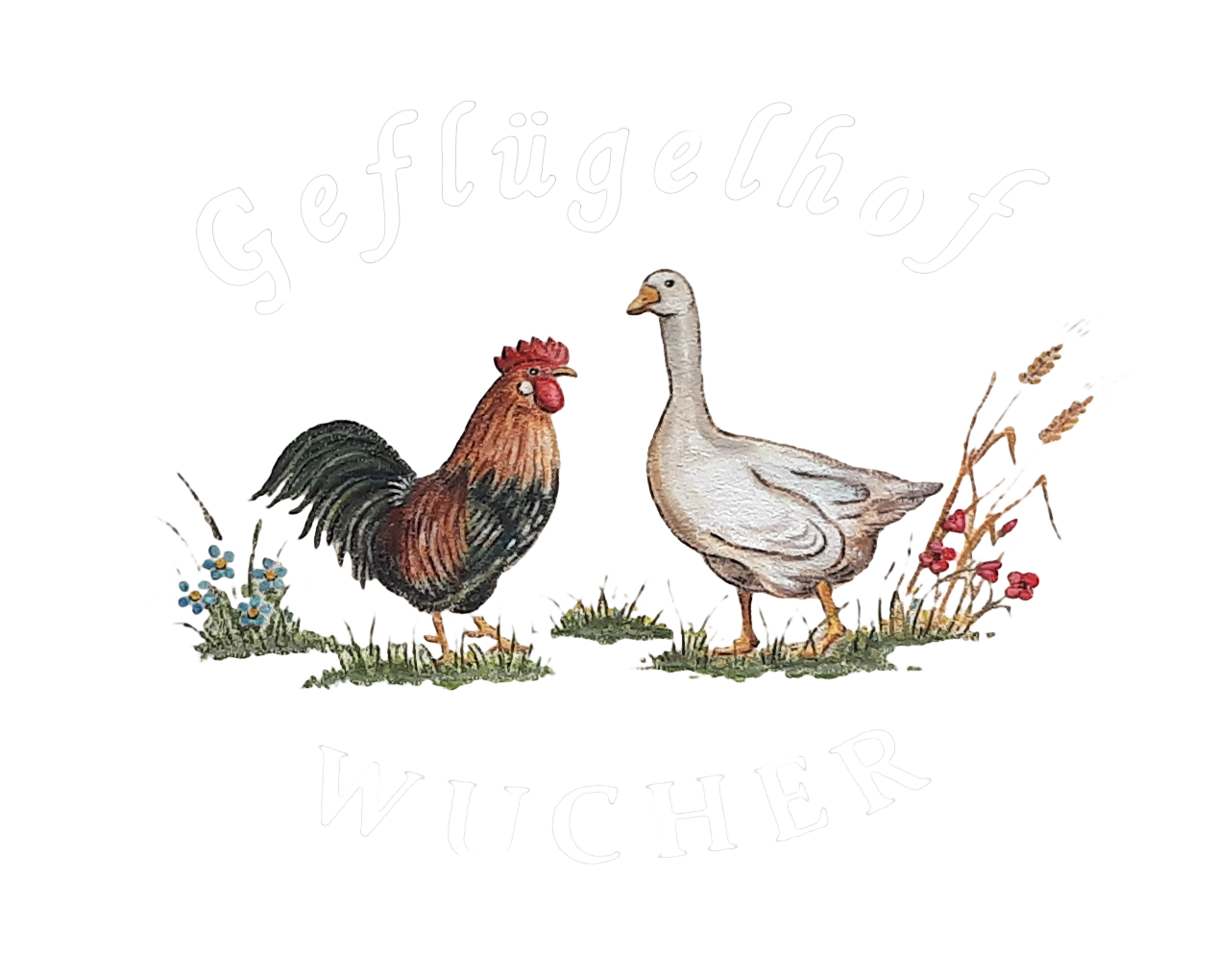 Wucher-Logo-w